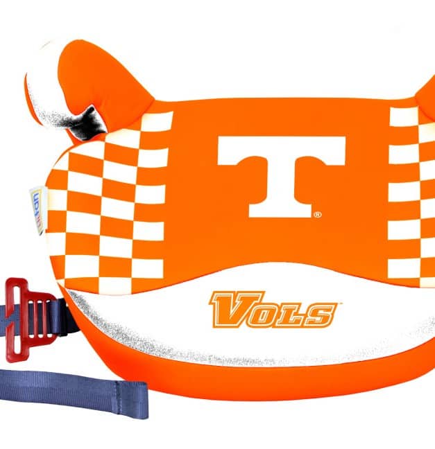 Booster Car Seat Review: Lil Fan Booster