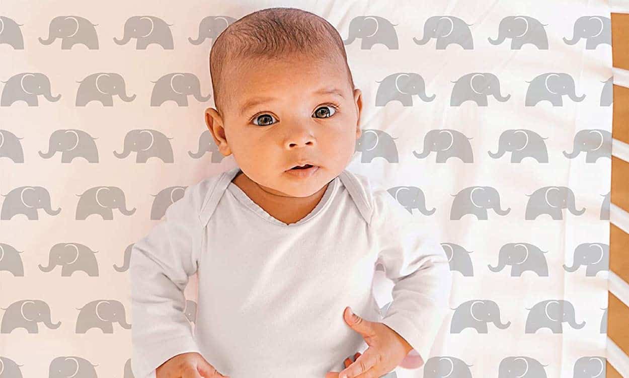 https://www.babybargains.com/wp-content/uploads/2021/10/Best-Elephant-Crib-Bedding.jpg