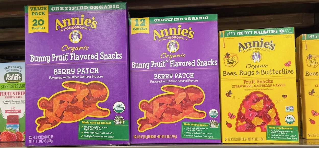 Best Organic Fruit Snacks2